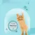 FurryFusion Balm pour les pattes de animaux de compagnie FurryFusion Balm pour les pattes de animaux de compagnie