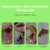 MCBOSON Lingettes de nettoyage d'oreilles pour animaux 2 boîtes MCBOSON Lingettes de nettoyage d'oreilles pour animaux 2 boîtes