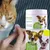 MCBOSON Lingettes de nettoyage d'oreilles pour animaux 2 boîtes MCBOSON Lingettes de nettoyage d'oreilles pour animaux 2 boîtes