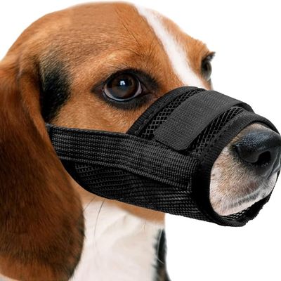 ZooVenture Muselière Chien - Nylon Respirant, Ajustable