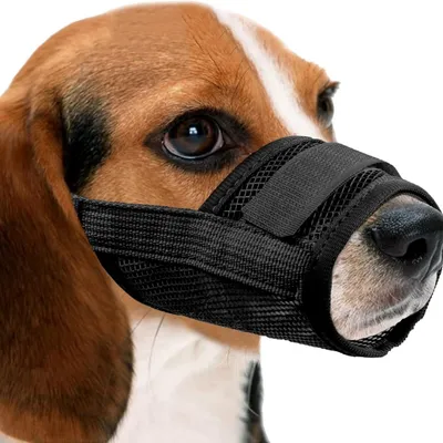 ZooVenture Muselière Chien - Nylon Respirant, Ajustable ZooVenture Muselière Chien - Nylon Respirant, Ajustable