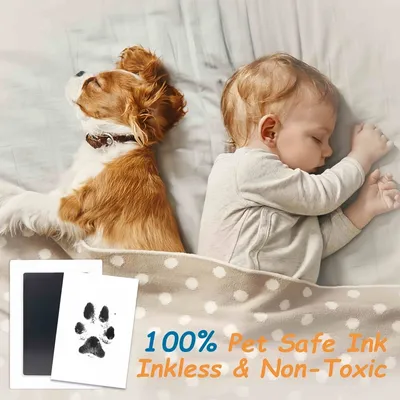 FurryFusion Kit d'empreintes de pattes sans encre pour animaux de compagnie FurryFusion Kit d'empreintes de pattes sans encre pour animaux de compagnie