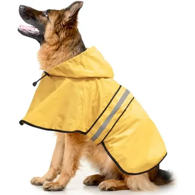 PetTribes Cape Imperméable Chien, Réfléchissante Léger