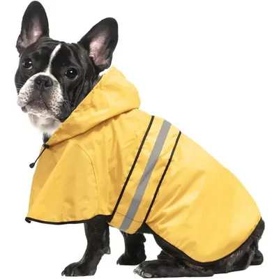PetTribes Cape Imperméable Chien, Réfléchissante Léger