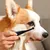 ZooVenture Dissolvant Taches Larmes Chien ZooVenture Dissolvant Taches Larmes Chien