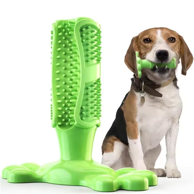 MCBOSON Brosse à dents pour chien Jouet à mâcher 15.5 cm