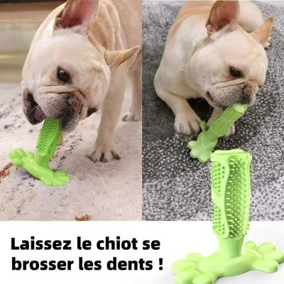 MCBOSON Cepillo de dientes para perros, juguete masticable de 12,6 cm