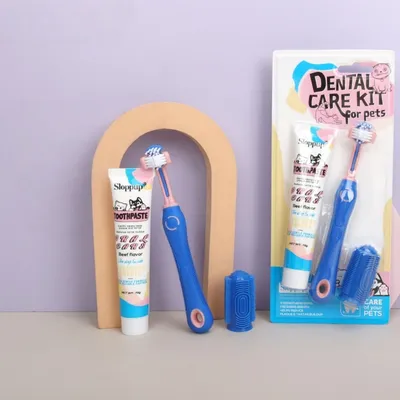 FurryFusion Kit de brosse à dents et dentifrice pour chiens et chats