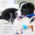 FurryFusion Kit de brosse à dents et dentifrice pour chiens et chats