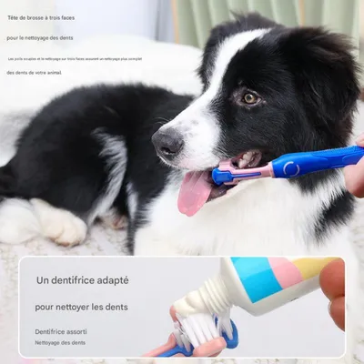 FurryFusion Kit de brosse à dents et dentifrice pour chiens et chats