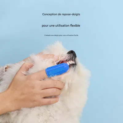 FurryFusion Kit de brosse à dents et dentifrice pour chiens et chats