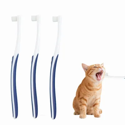 FurryFusion Brosse à dents poils doux pour animaux FurryFusion Brosse à dents poils doux pour animaux