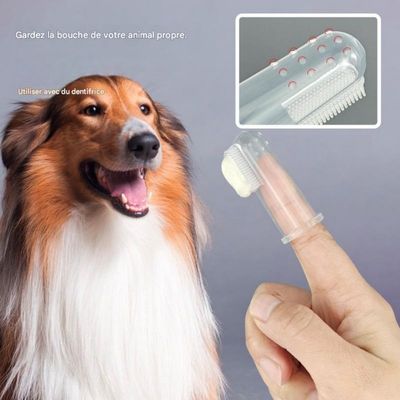 FurryFusion Dedo para cepillar los dientes de perros y gatos
