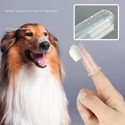 FurryFusion Doigtte pour brosser les dents de chiens et chats FurryFusion Doigtte pour brosser les dents de chiens et chats