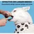 10 brosses à dents doigt 360° en silicone pour chiens, chats et chiots