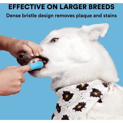 10 brosses à dents doigt 360° en silicone pour chiens, chats et chiots