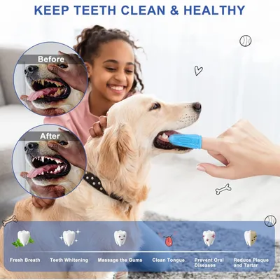 ZooVenture Brosse Dent Chat Chien Silicone Bleu 4P ZooVenture Brosse Dent Chat Chien Silicone Bleu 4P