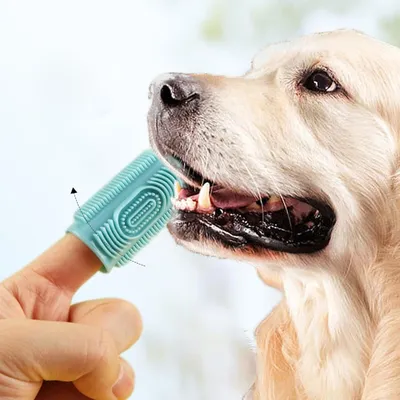 ZooVenture Brosse Dent Chat Chien Silicone 8P ZooVenture Brosse Dent Chat Chien Silicone 8P