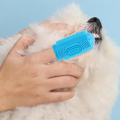 ZooVenture Brosse Dent Chat Chien Silicone 8P ZooVenture Brosse Dent Chat Chien Silicone 8P
