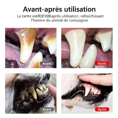 MCBOSON Spray buccal pour animaux de compagnie - 120 ml MCBOSON Spray buccal pour animaux de compagnie - 120 ml