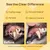 Zoomtopia Lot de 50 lingettes de nettoyage des dents pour chien Zoomtopia Lot de 50 lingettes de nettoyage des dents pour chien