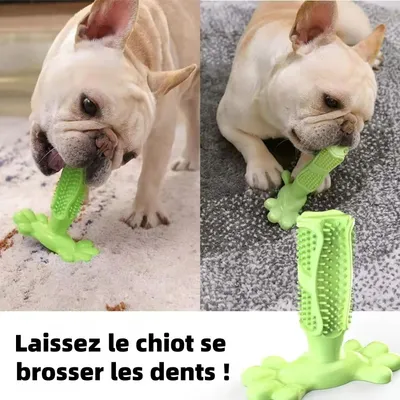 MCBOSON Brosse à dents pour chien Jouet à mâcher 15.5 cm MCBOSON Brosse à dents pour chien Jouet à mâcher 15.5 cm