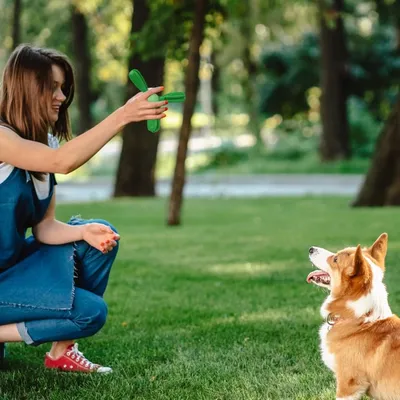 MCBOSON Jouet interactif de nettoyage dentaire pour chiens