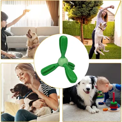 MCBOSON Jouet interactif de nettoyage dentaire pour chiens