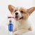 FurryFusion Dentifrice et brosse à dents pour chiens FurryFusion Dentifrice et brosse à dents pour chiens