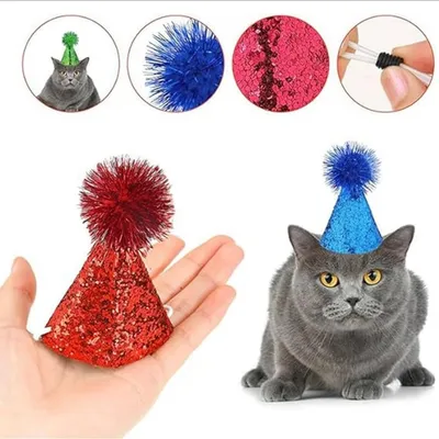 ZooVenture Chapeau Fete Cone Animaux 10P ZooVenture Chapeau Fete Cone Animaux 10P