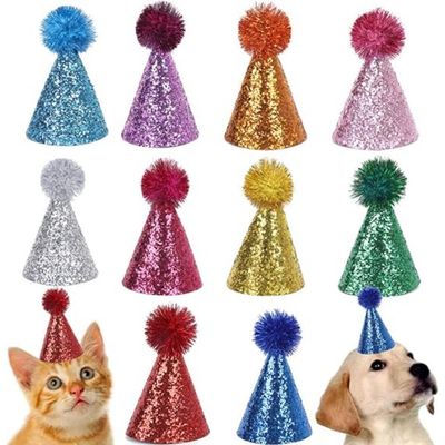 ZooVenture Chapeau Fete Cone Animaux 10P