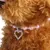 Collier Perles Animal Coeur Gravé Rose - PetTribes 2 Pièces
