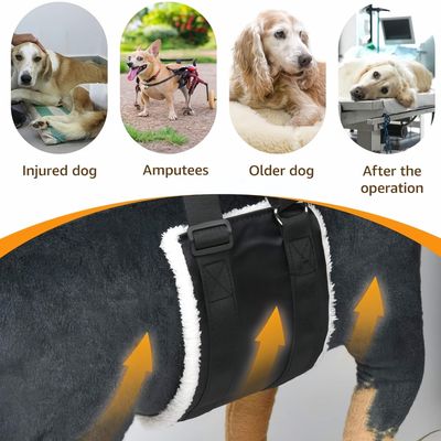 PetTribes Sangle de levage réglable
