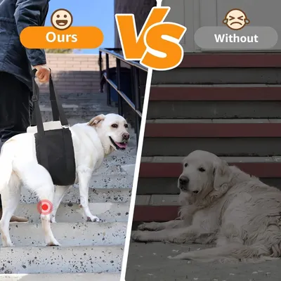 PetTribes Sangle de levage réglable PetTribes Sangle de levage réglable