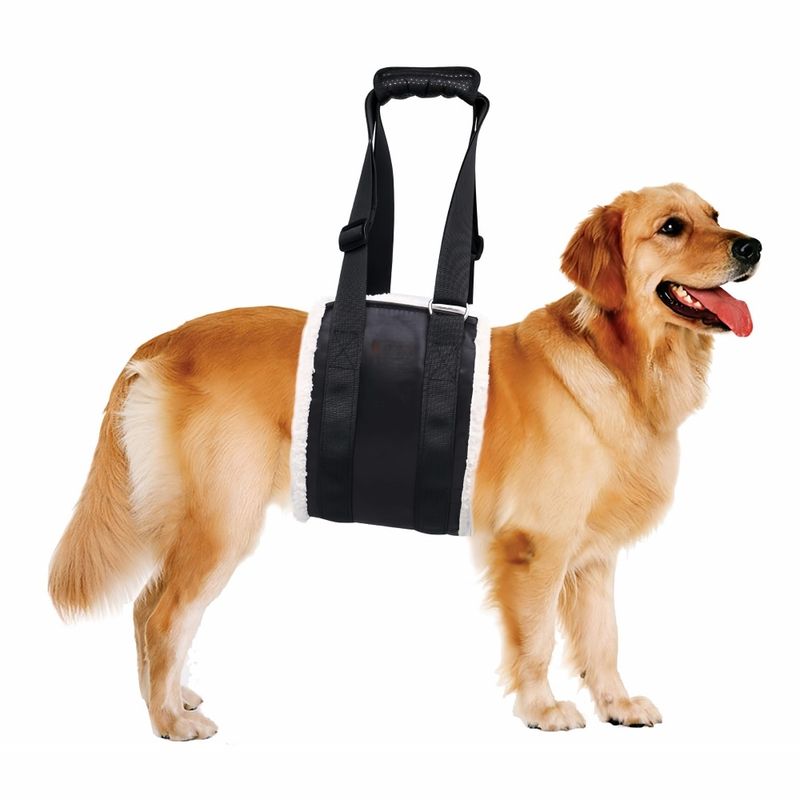PetTribes Sangle de levage réglable