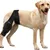 Zoomtopia Genouillère chien patte arrière taille L réglable anti-léchage Zoomtopia Genouillère chien patte arrière taille L réglable anti-léchage