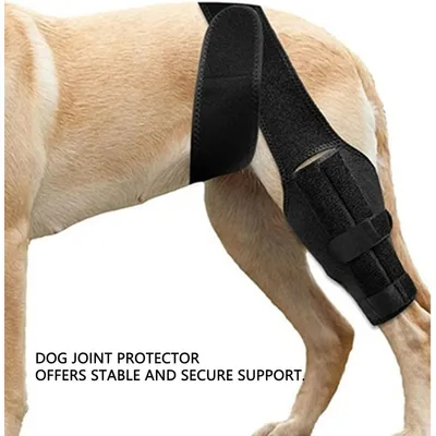 Zoomtopia Genouillère chien patte arrière taille L réglable anti-léchage Zoomtopia Genouillère chien patte arrière taille L réglable anti-léchage