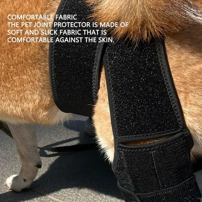 Zoomtopia Genouillère chien patte arrière taille L réglable anti-léchage Zoomtopia Genouillère chien patte arrière taille L réglable anti-léchage