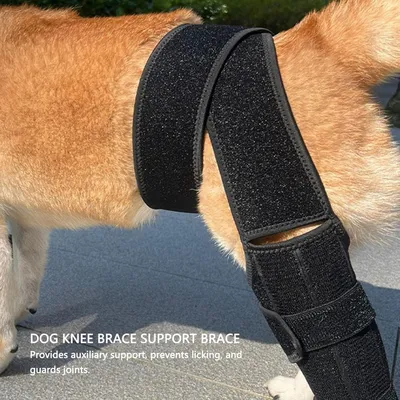 Zoomtopia Genouillère chien patte arrière taille L réglable anti-léchage Zoomtopia Genouillère chien patte arrière taille L réglable anti-léchage
