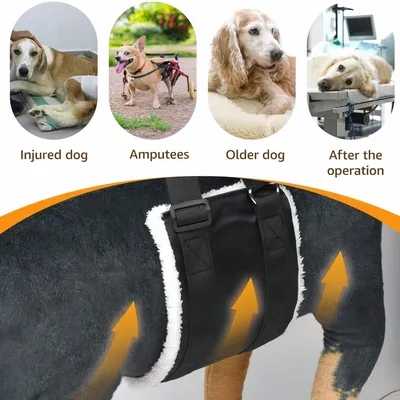 FurryFusion Harnachement de levage réglable pour chien de grande taille FurryFusion Harnachement de levage réglable pour chien de grande taille