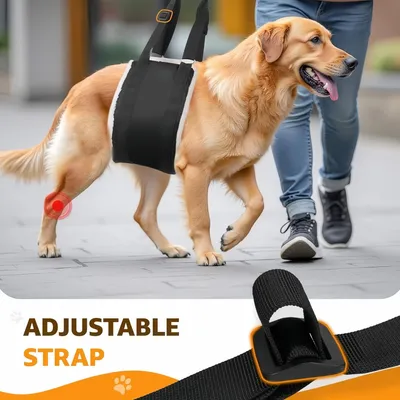 FurryFusion Harnachement de levage réglable pour chien de grande taille FurryFusion Harnachement de levage réglable pour chien de grande taille