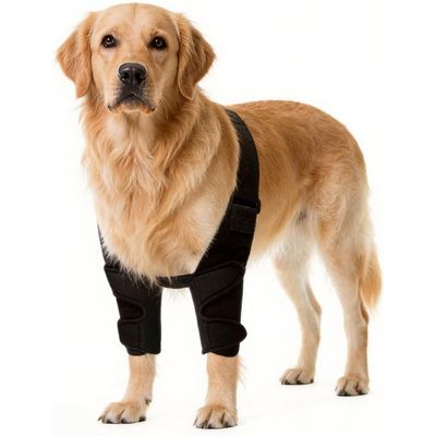 Zoomtopia Coudières chien pattes avant taille M avec attelle épaule