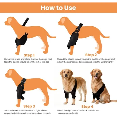 Zoomtopia Coudières chien pattes avant taille M avec attelle épaule Zoomtopia Coudières chien pattes avant taille M avec attelle épaule