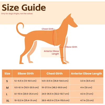 Zoomtopia Coudières chien pattes avant taille M avec attelle épaule Zoomtopia Coudières chien pattes avant taille M avec attelle épaule