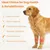 Zoomtopia Coudières chien pattes avant taille M avec attelle épaule Zoomtopia Coudières chien pattes avant taille M avec attelle épaule