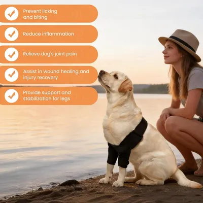 Zoomtopia Coudières chien pattes avant taille M avec attelle épaule Zoomtopia Coudières chien pattes avant taille M avec attelle épaule