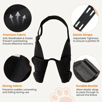 Zoomtopia Coudières chien pattes avant taille M avec attelle épaule Zoomtopia Coudières chien pattes avant taille M avec attelle épaule