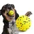 FurryFusion Balle pour chien anti - mordure FurryFusion Balle pour chien anti - mordure