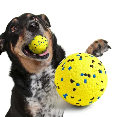 FurryFusion Balle pour chien anti - mordure FurryFusion Balle pour chien anti - mordure