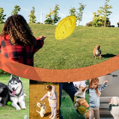 FurryFusion Juguetes resistentes para perros grandes: pelota, frisbee, aro